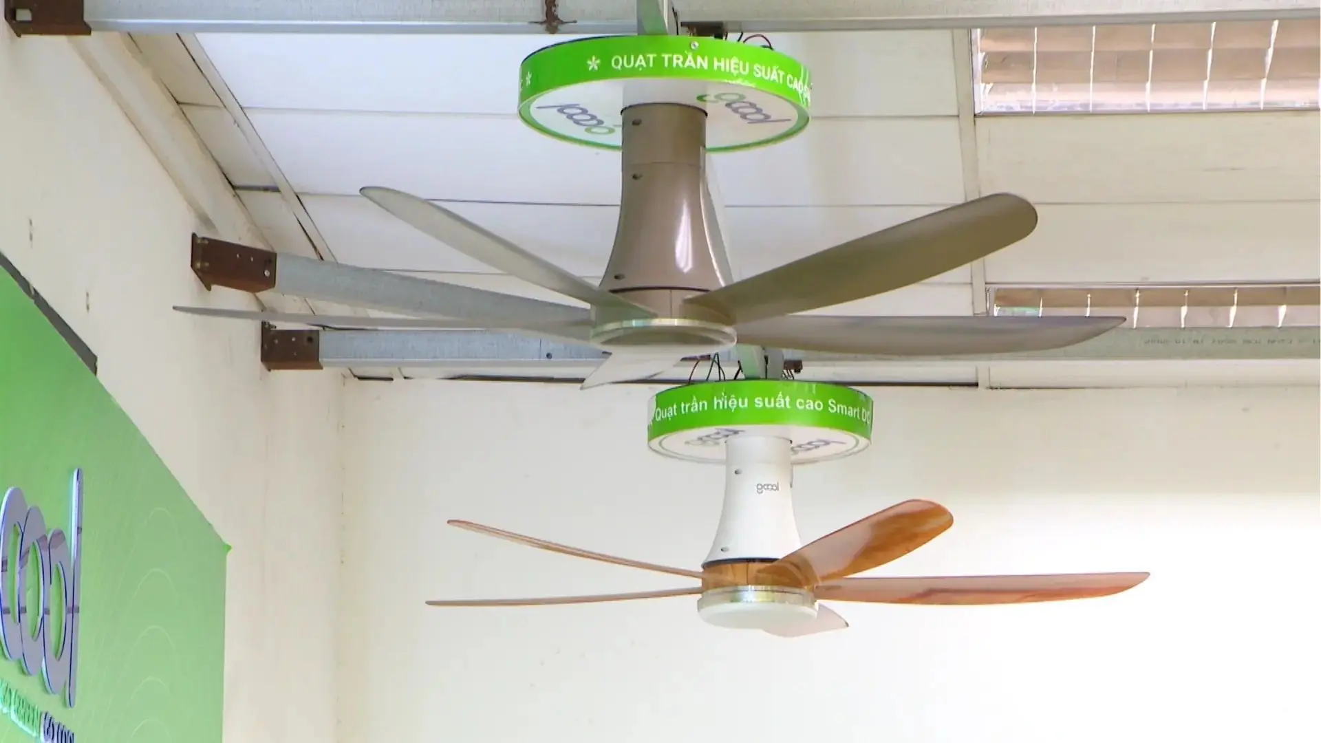 Quạt trần động cơ không chổi than | Made in Hanoi | 03/10/2025